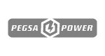 logos pegsa gris-08